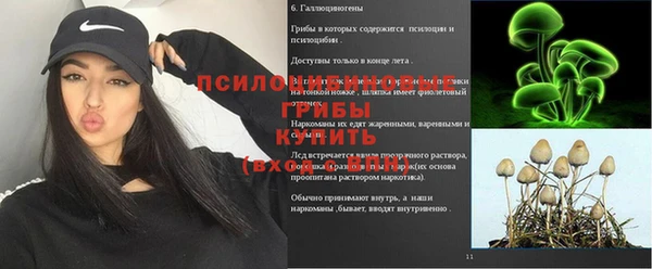 ALPHA PVP Алзамай