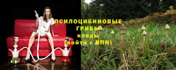 мескалин Алексеевка