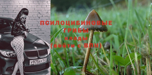 ALPHA PVP Алзамай