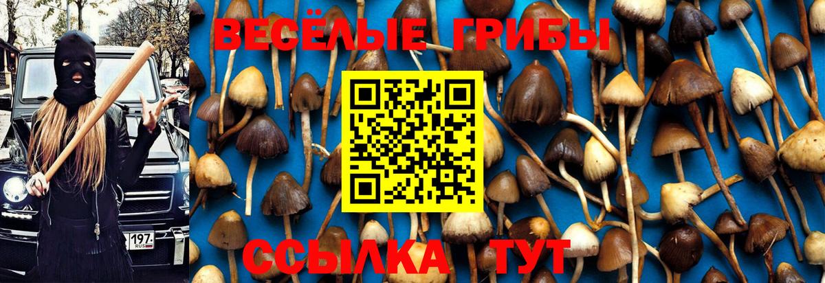 Псилоцибиновые грибы Cubensis  Вход с VPN  Алушта 